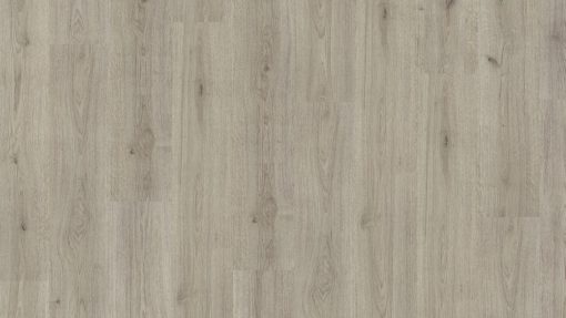 ALL-IN | Kronotex D3126 - Trend Oak Grey